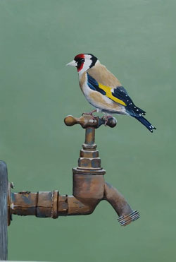 Gold Finch on a Tap
