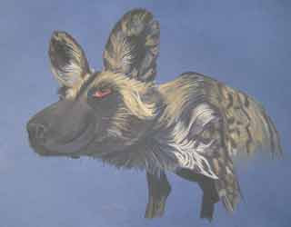 African Wild Dog  by Nicky Boyce of Special Thing for Special People