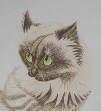 CAT painted by Nicky Boyce Special things for speical people