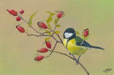 Great Tit on Rose Hips.  Painted by Nicky Boyce of Special Thing for Special People