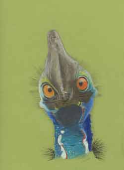 Cassowary by Nicky Boyce of Special Thing for Special People