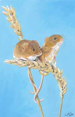 Harvest Mice on an Ear of Wheat.  Painted by Nicky Boyce of Special Thing for Special People
