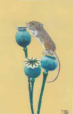 Mouse on Poppy seed heads.  Painted by Nicky Boyce of Special Thing for Special People
